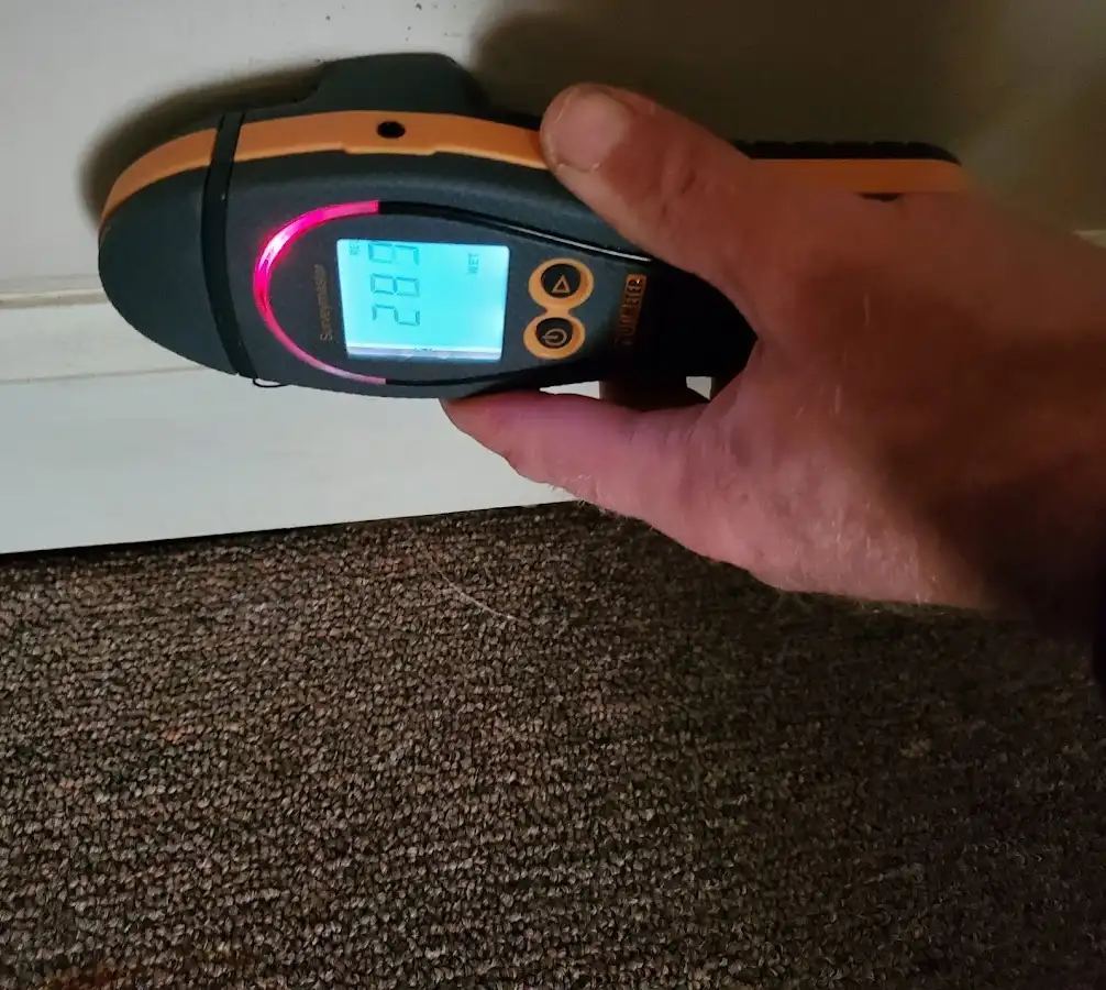 Moisture detection at baseboard during Mold Inspection & Testing in Pauls Valley